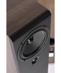 Pylon Audio Opal 20 grindinės garso kolonėlės - Grindinės kolonėlės