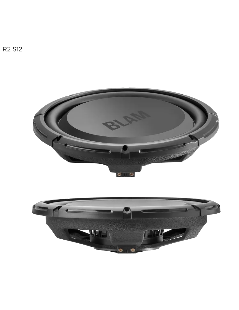 BLAM RS12.2 2ohm žemų dažnių garsiakalbis - Žemų dažnių garsiakalbiai