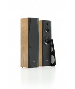 Pylon Audio Sapphire 31 grindinės garso kolonėlės - Grindinės kolonėlės