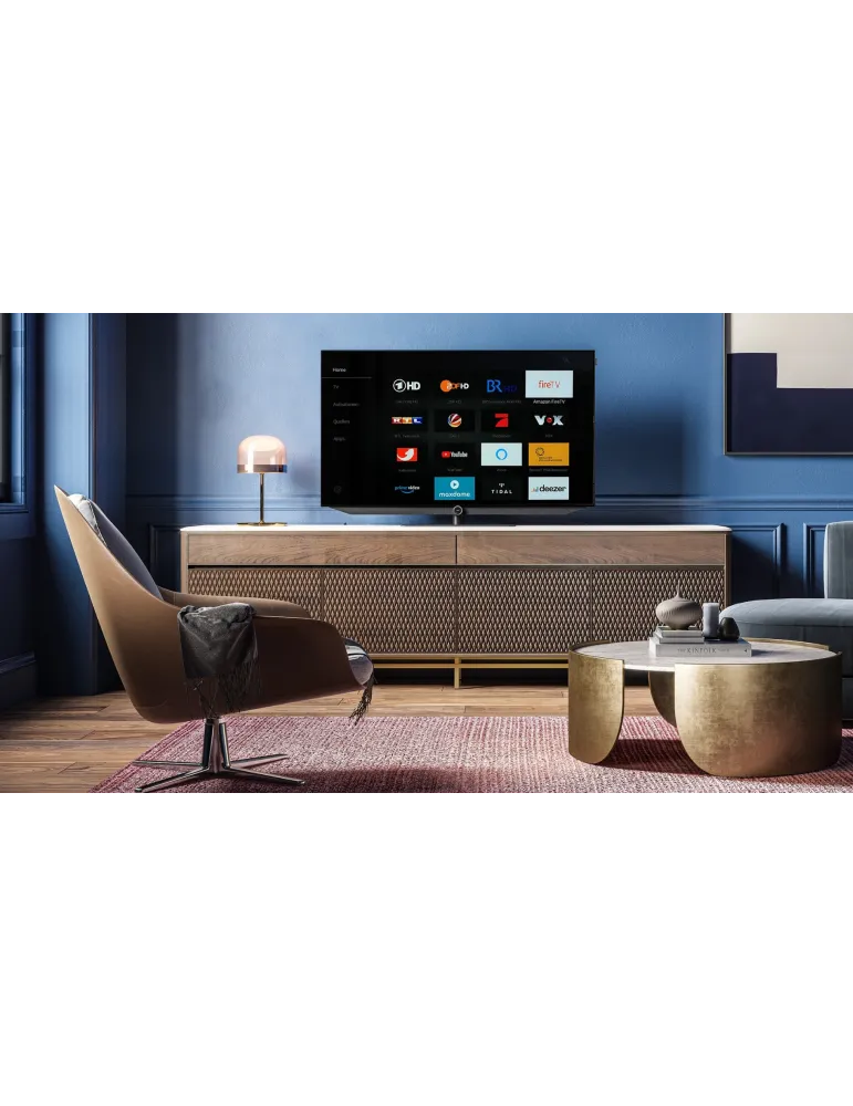 Loewe bild v.65 dr 