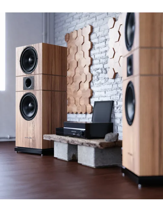 Pylon Audio Amber mkII didelio jautrumo garso kolonėlės - Grindinės kolonėlės