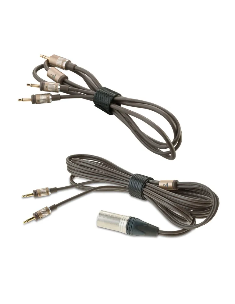 Focal Clear MG hi-end atviro tipo ausinės - Dedamos ant ausų (on-ear)