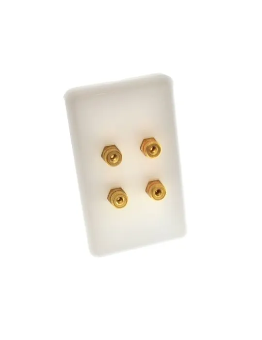 Melodika sieninė garsiakalbių jungtis (4 x banana) - Instaliacijai