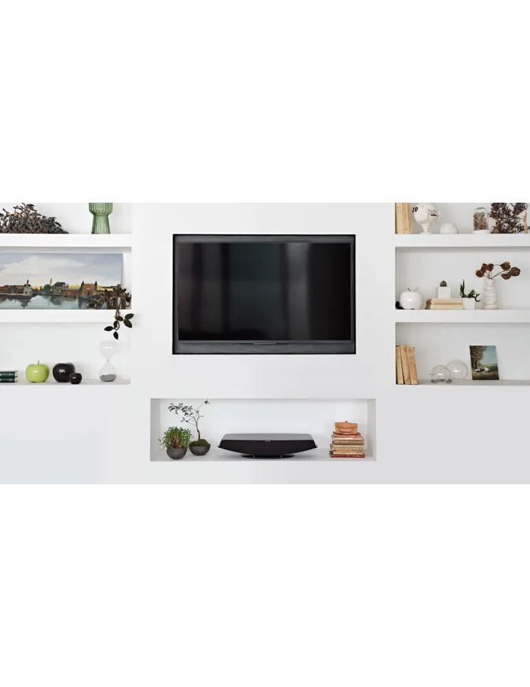 Sonus Faber Omnia "viskas viename" belaidė kolonėlė 