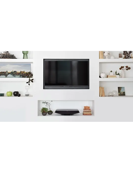 Sonus Faber Omnia "viskas viename" belaidė kolonėlė 