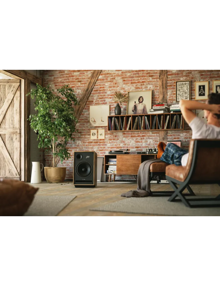 PYLON Audio Jade 20 klasikinio stiliaus garso kolonėlės - Grindinės kolonėlės - 4