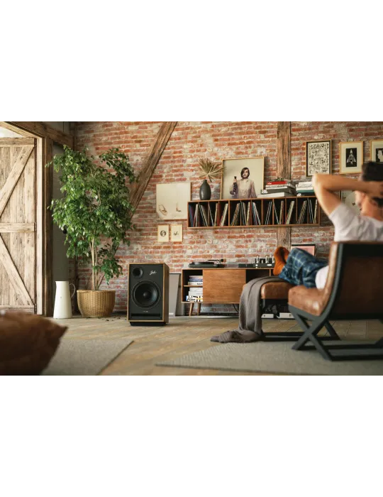 PYLON Audio Jade 20 klasikinio stiliaus garso kolonėlės - Grindinės kolonėlės - 4