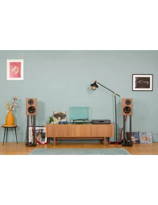 Revival Audio Atalante 3 lentyninės kolonėlės 