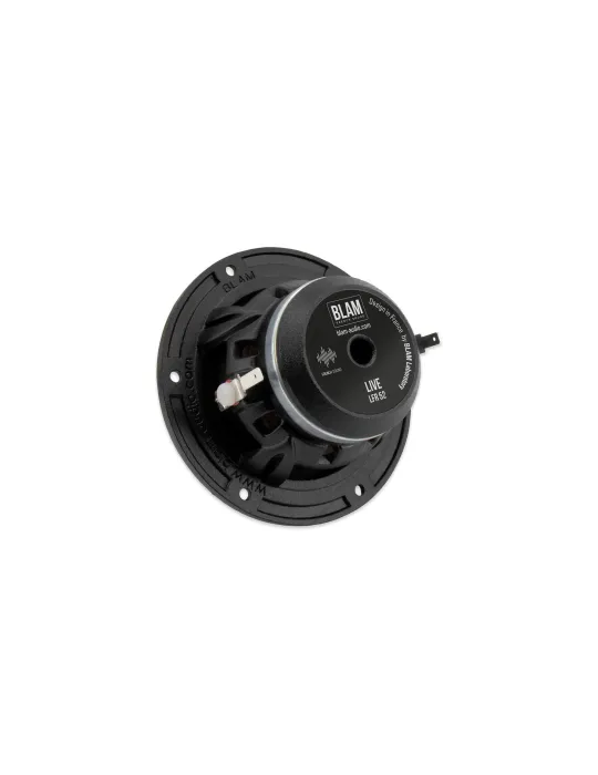BLAM Live LFR52 mid-range drivers (pair) - Mid-range drivers - 3