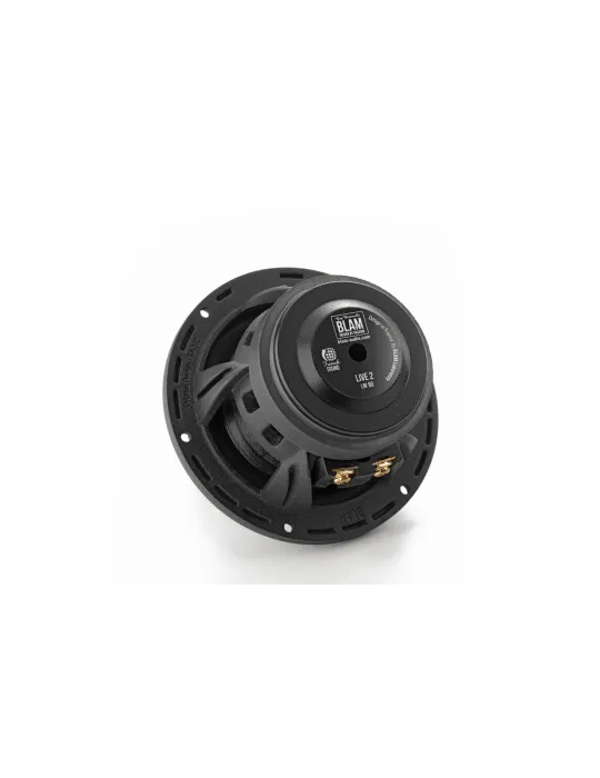 BLAM Live LM80 mid-range drivers (pair) 