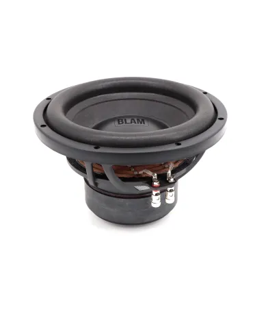 BLAM Live L25 DB 10" subwoofer