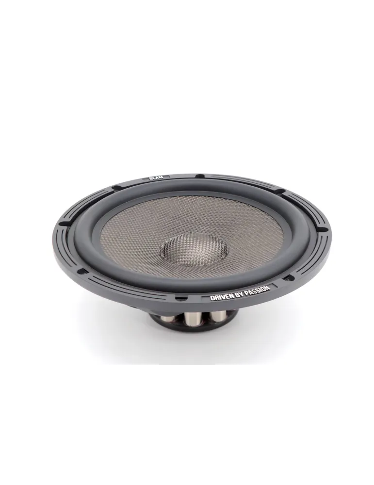 BLAM Multix WS8 žemų dažnių garsiakalbiai 