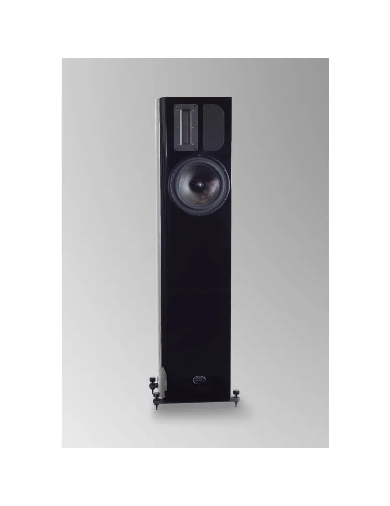 Apertura Edena Evolution 2-way floorstanding speakers - Floorstanding speakers - 2