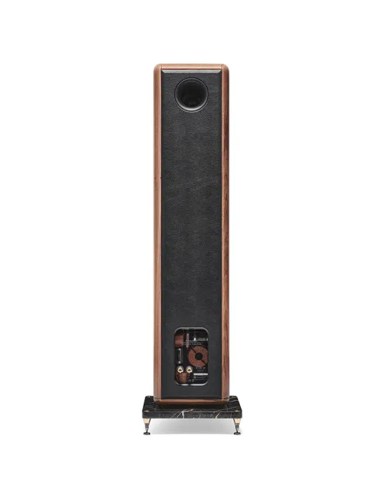 Sonus Faber Maxima Amator - Grindinės kolonėlės - 5