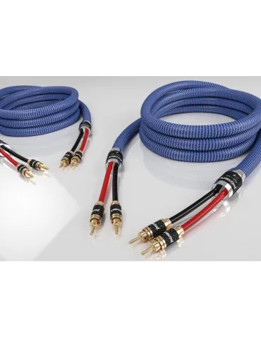 Ricable Invictus Speaker Reference kolonėlių kabelis 2