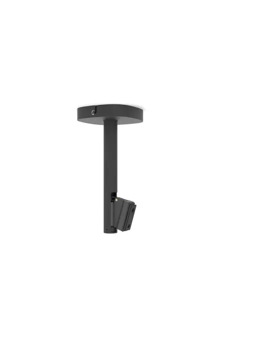 Cavus DH 150 Ceiling mount 
