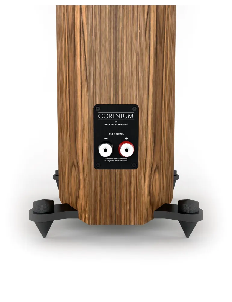 Acoustic Energy Corinium garso kolonėlės 