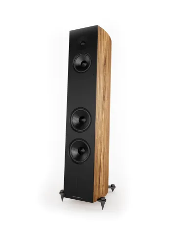 Acoustic Energy Corinium floorstanding speakers - Floorstanding speakers - 1 2