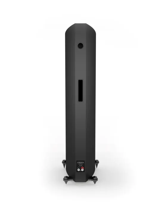 Acoustic Energy Corinium garso kolonėlės 