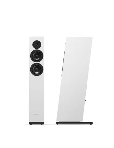 PYLON Audio Diamond 25 mkII - Grindinės kolonėlės - 1 2