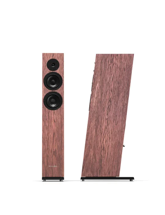 PYLON Audio Diamond 25 mkII - Floorstanding speakers - 5