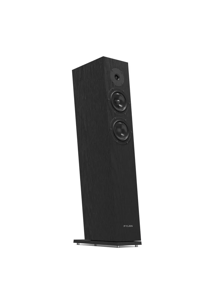 PYLON Audio Diamond 25 mkII - Floorstanding speakers - 1