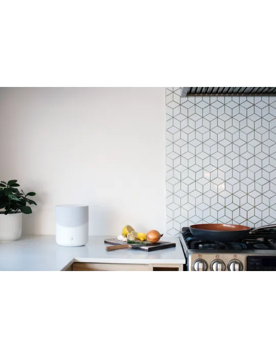 Bluesound Pulse M belaidė garso kolonėlė - Bluesound - 6