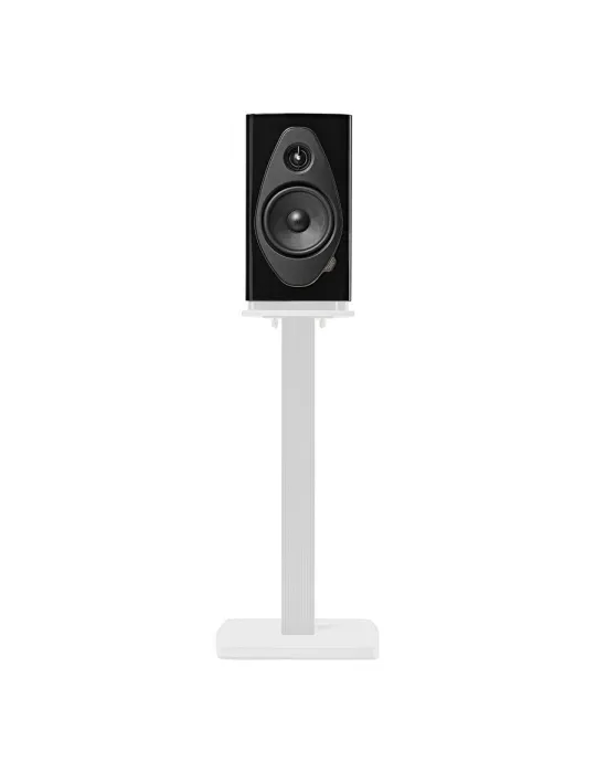 Sonus Faber Sonetto II G2 - Bookshelf speakers - 4