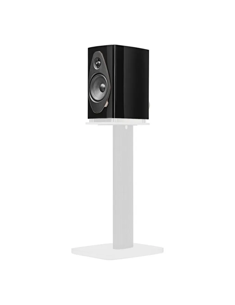 Sonus Faber Sonetto II G2 - Bookshelf speakers - 3