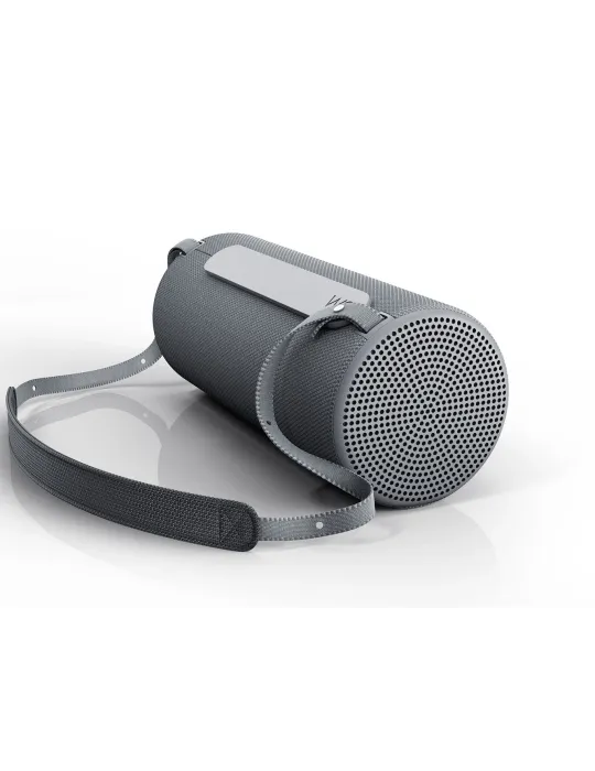 Loewe WE. Hear 2 portable Bluetooth speaker - Portable speakers - 3